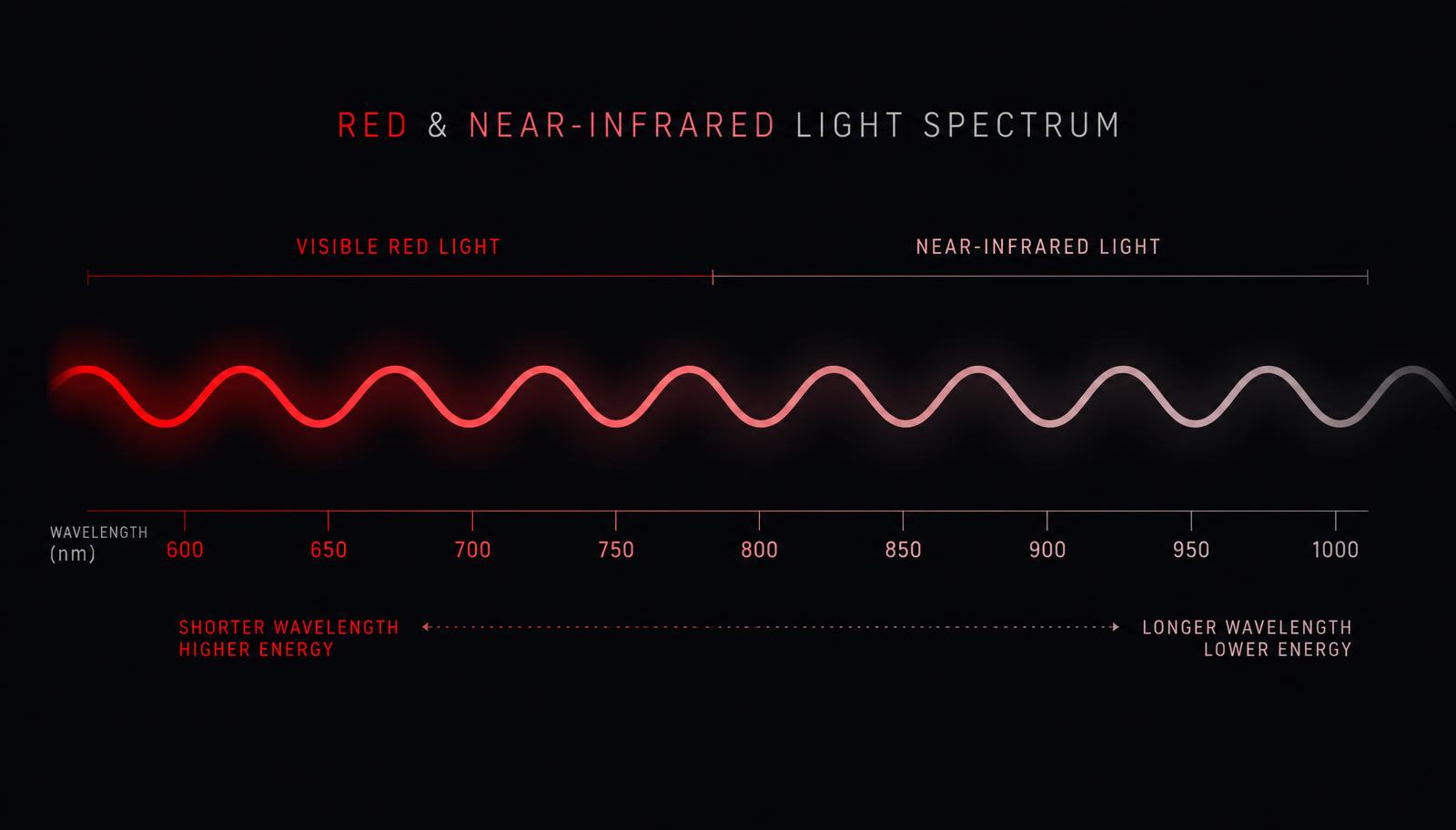 Diagram of the red and near-infrared light spectrum from 600 to 1000 nanometres